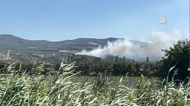 Sakarya'da orman yangını - Resim: 20